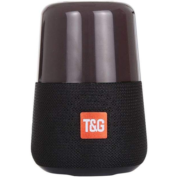 tg 168 speaker