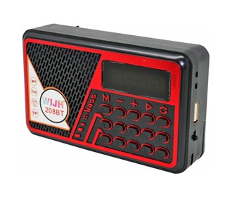 Portable Bluetooth speaker model WIJH 208BT