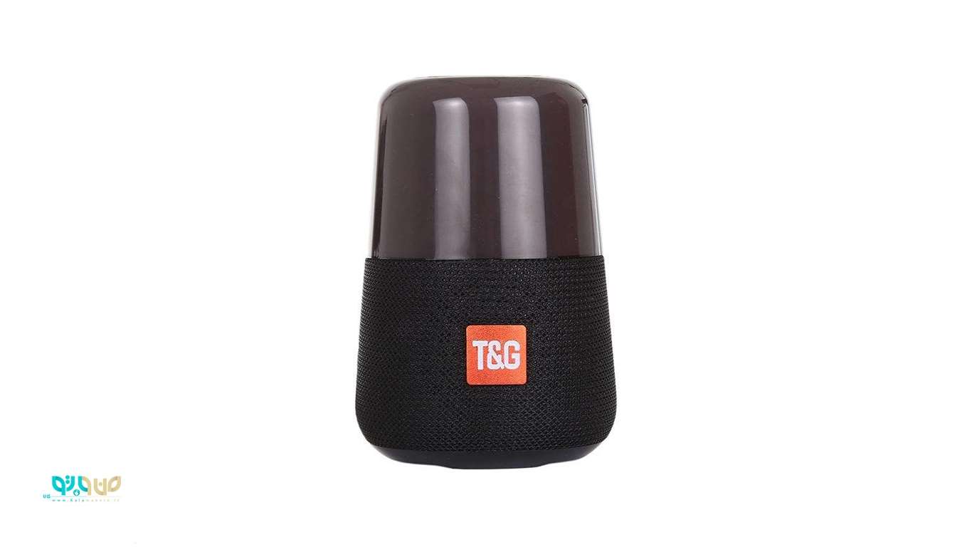 T&G portable Bluetooth speaker model TG-168