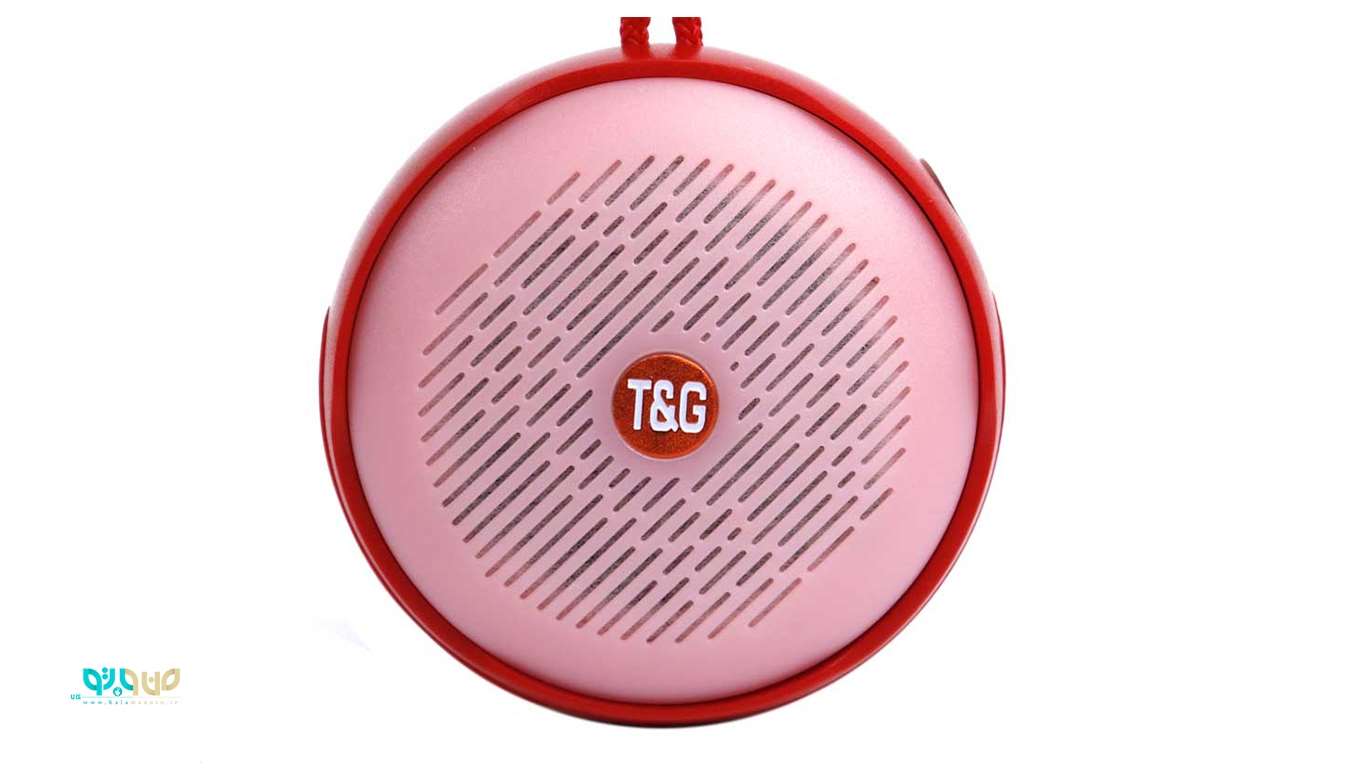  T&G TG607 Wireless Bluetooth Speaker Mini Portable